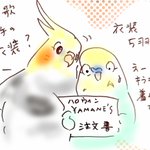 Photo by Osekihan (@komebani)