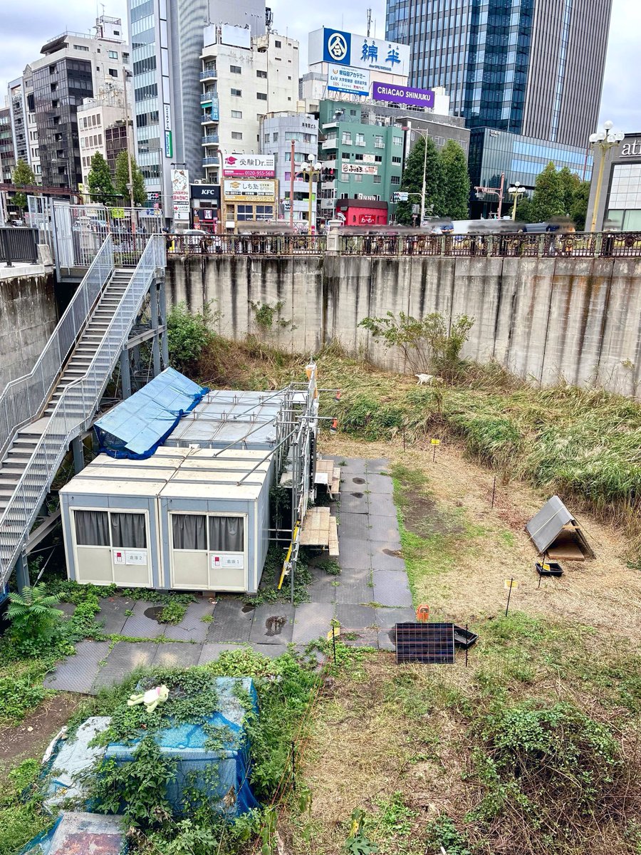 R_agna's tweet photo. 昨日は13時近くに四ツ谷のヤギさんに会いに行ったが、昼間だからなのかずっとお仕事（草mgmg）に徹していた。
次は遅い時間に行こう。まったりしている姿も見たい。お仕事中だとなかなか2匹が揃った写真も撮れなかったしな🐐🐐
ヤギさんと共に話題のカエルさんも可愛かったです（3枚目の左下🐸 https://t.co/Hx0oF8Hlmb