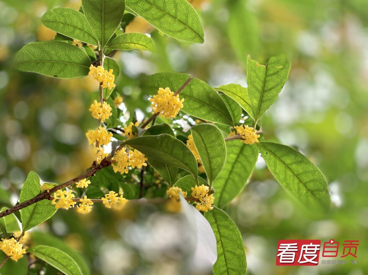ms123698745's tweet photo. 「濁りの中にも燦（さん）と輝く、繁（はん）と息づくこの瞬間、痙（けい）する心もまた生命の証しだ」 https://t.co/dxflBpuGSx