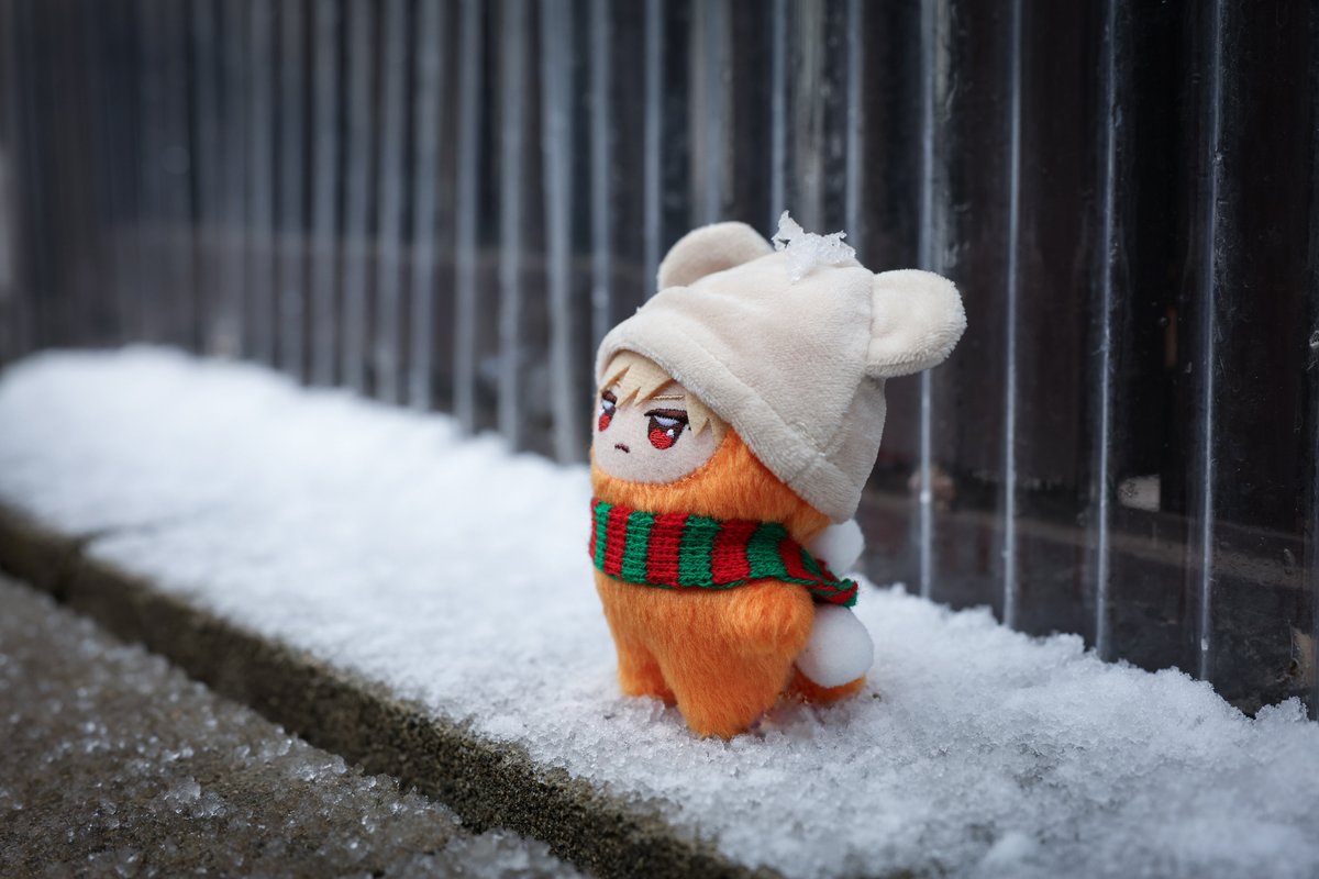 3fozoF's tweet photo. ❄︎ https://t.co/8AGFxUPsGu