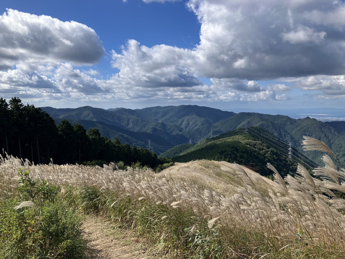 drivedog's tweet photo. 今日はお休み頂いたので、岩湧山へススキを愛でに行って参りました♪
天気よく、山登りには丁度いい気候で癒されました😊 https://t.co/S4eY6ys2si