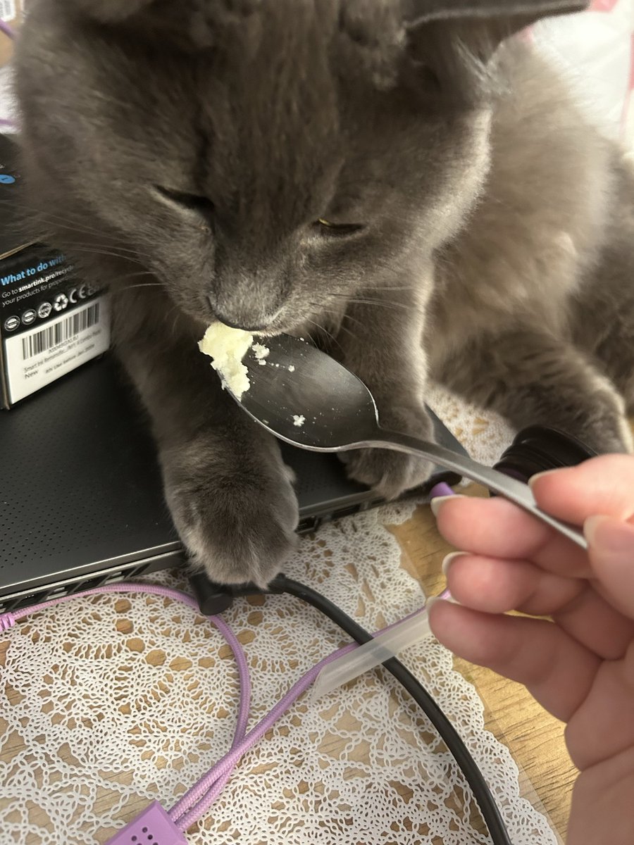 Duskyfalls's tweet photo. fatty... https://t.co/Fgf0khlXxI