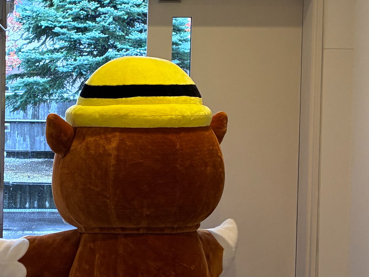 HOCHAN_HDH's tweet photo. 【予告】
皆さんも大好きな季節ネタを狙った撮影を行っていましたが、少しだけですが都合よく雪が降り、そのシーンを撮影できました。（見えますかねぇ。人間の目では見えたんですけどね）
ホーちゃんも雪に大はしゃぎ。撮影の合間のショットを公開しちゃいます。
本編は近日公開！お楽しみに！ https://t.co/KpnDSYV8AG