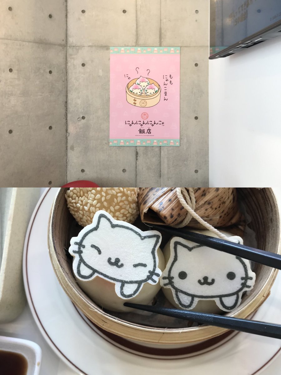 _perfectdays0's tweet photo. にゃんにゃんにゃんこ飯店៸៸᳐⦁⩊⦁៸៸᳐ ⭐︎ https://t.co/cvfrqNcFFa