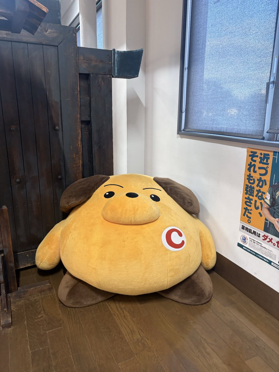 gomen__m's tweet photo. 見せてくれる顔が違すぎるね君 https://t.co/6hzDsBBWHY