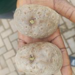 Photo by Chukwunonso (Farmer) (@FirstKingEntert)