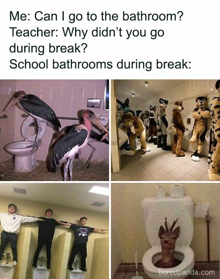 FlissZak's tweet photo. Yeah, kids, teenage schooldays! 🤣
#teenagers https://t.co/0sSIsBhk99
