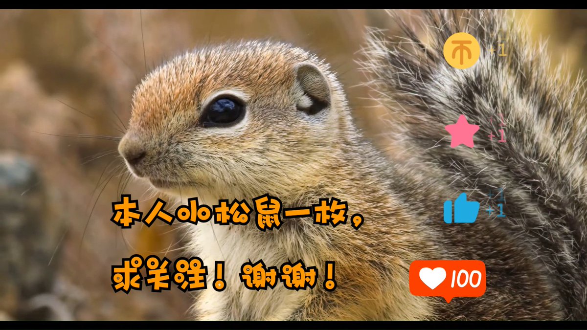 it_mita's tweet photo. [葡辞蔽松]って単語、不思議だよね～日常で使うことあるのかな？ https://t.co/7GcKEP0YRd