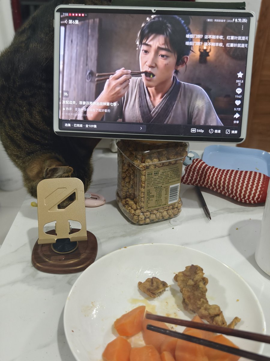 wytxll's tweet photo. 北漂最幸福的事就是回到家吃着自己做的饭菜，还有妈妈炸的酥肉，看着 无脑 AI 漫剧，然后有一只陪我一起长大的猫咪在旁边陪我。🥰 https://t.co/qzU5Qvozxm