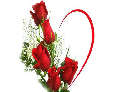 Sarghini70's tweet photo. @Lydia7tqi Good morning my sweet ❤️ https://t.co/ERT9WQThd3