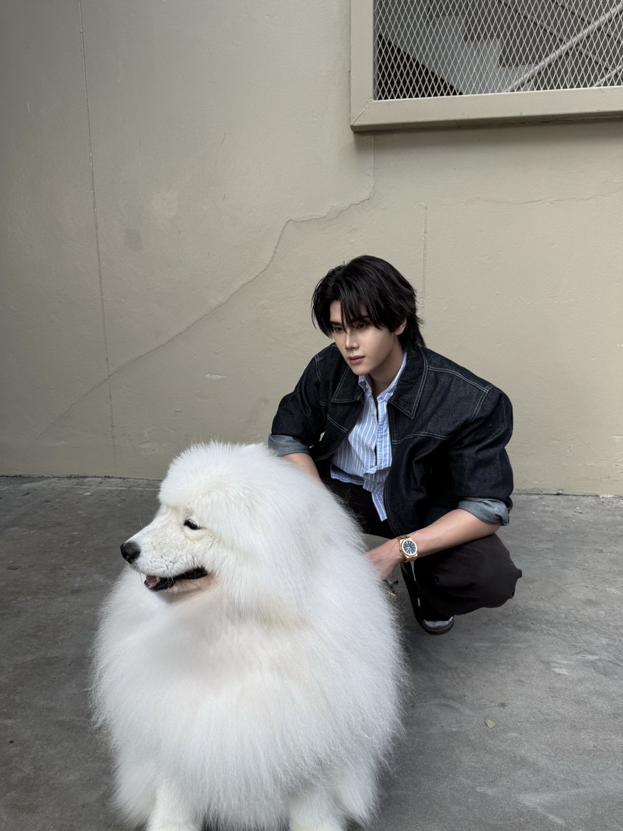 dunknatachai's tweet photo. ขอบคุณทุกคนที่มาหาดังกับน้องๆ Haruto &amp; Moro นะครับ รักทุกคนมากๆ ไว้เจอกันงานหน้าๆนะครับบเตง 🐻‍❄️🐻‍❄️🐻‍❄️

DUNK X JERHIGH IN CHIANGMAI

#JerHighLOOOVEXDunk
#dunknatachai #JerHigh #Petmartfair2026 https://t.co/yl33yezUJH
