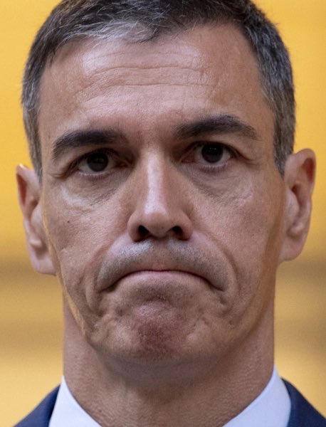 eduardomenoni's tweet photo. Pedro Sánchez es el mayor destructor de España y un tremendo HIJO DE PUTA. Esta catástrofe de los trenes de hoy es culpa directa de su mal gobierno. Sánchez es 100% basura socialista. https://t.co/xXbDa1hfyU