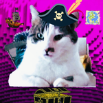 Photo by aaronalu.eth VMaxCats™ (@aga_aro)