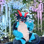 Photo by 무덕📸 (@pjfcam)