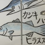 Photo by さかな芸人ハットリ【キッチンカー経営中】 (@hattori95)
