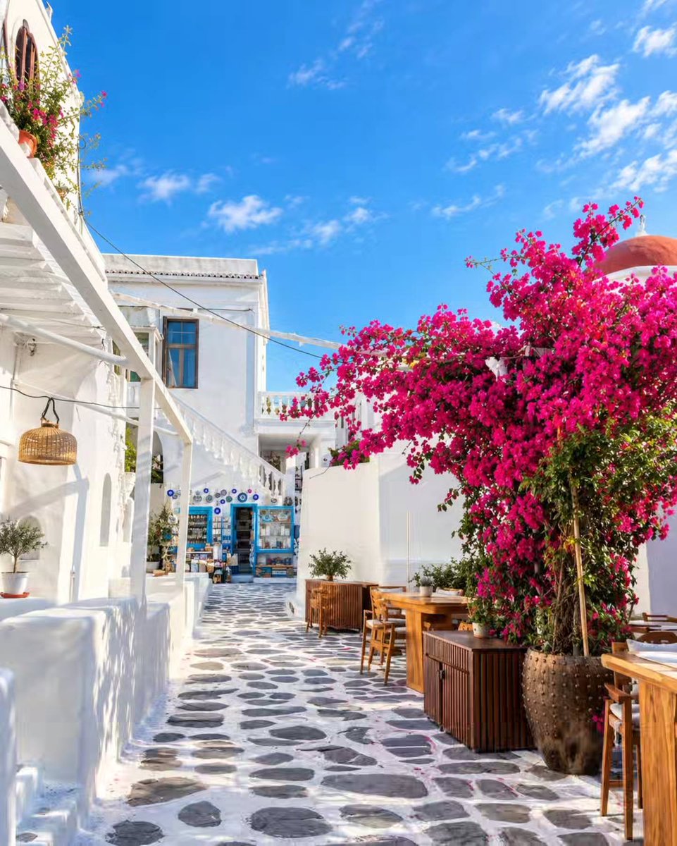sweetDonut88's tweet photo. 📍 Mykonos, Greece https://t.co/X4gBeBapr3