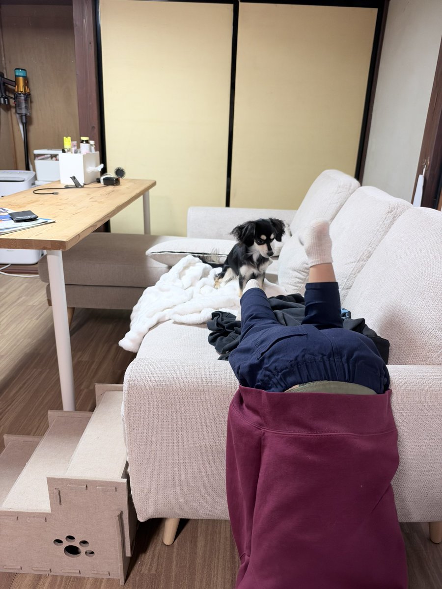 ruru___O2O5's tweet photo. 犬神家の一族になってる知り合いの子どもを眺める犬 https://t.co/BYXh6C2FET
