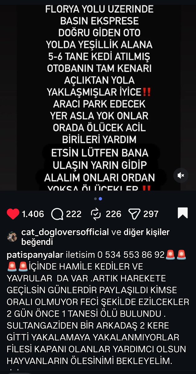 ecekurtulus41's tweet photo. ÇOK ACİL DURUM LÜTFEN YARDIM LAZIM 🆘🆘🆘.   PAYLAŞALIM ÇOK KİŞİ ULAŞSIN https://t.co/hNYiRSb7wQ