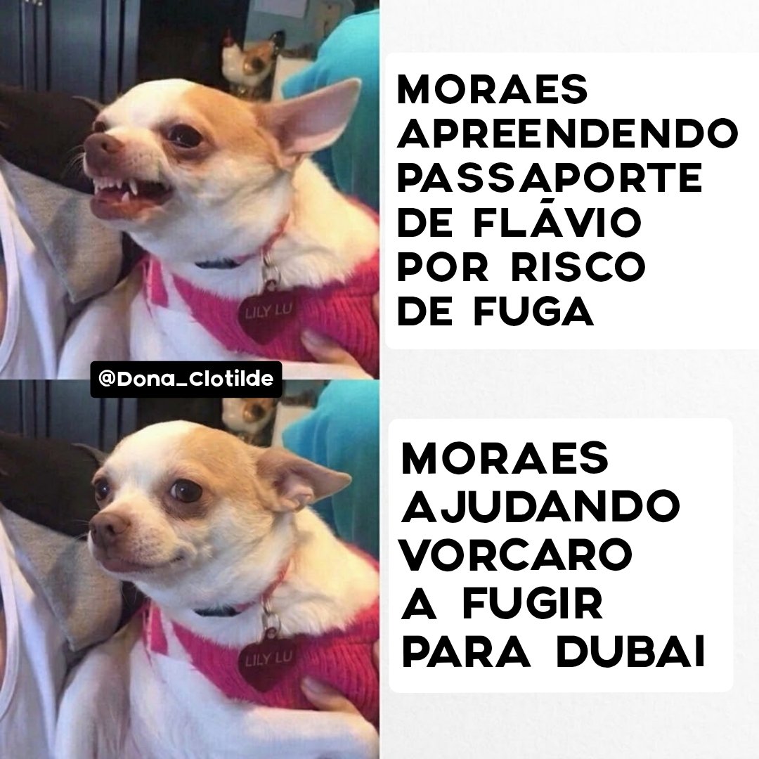 Dona_Clotilde's tweet photo. Vêm aí tempos muito sombrios para a liberdade de expressão no Brasil.

A perseguição à família Bolsonaro e a censura nas redes vai ser brutal. https://t.co/pD86BQ3pBy