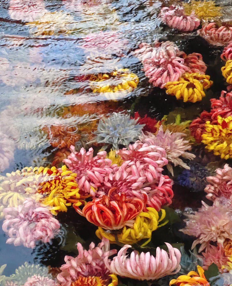 Annz60bp's tweet photo. 清明上河园 大宋水下浮菊 
在热闹的大宋市井里，藏一池安静的水下繁花，氛围感温柔又雅致，属于清园独有的宋式浪漫。💕
#秋天 #China https://t.co/Fc9TfyF4ie