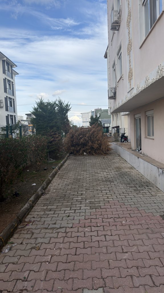 brkjlby's tweet photo. Sayın @mesutkocagoztr biliyorsunuz ki iki gün önce fevziçakmak Mahallesi’nde bir doğal afet oldu
Şu an sitemizin içi devrik ağaçlar kırılmış  çatılar ile dolu belediyenizden destek istedik ancak yol üstü olmadığı için hizmet vermiyorlar belediyecilik anlayışınız bu mu ? https://t.co/UaLDNbQNKy