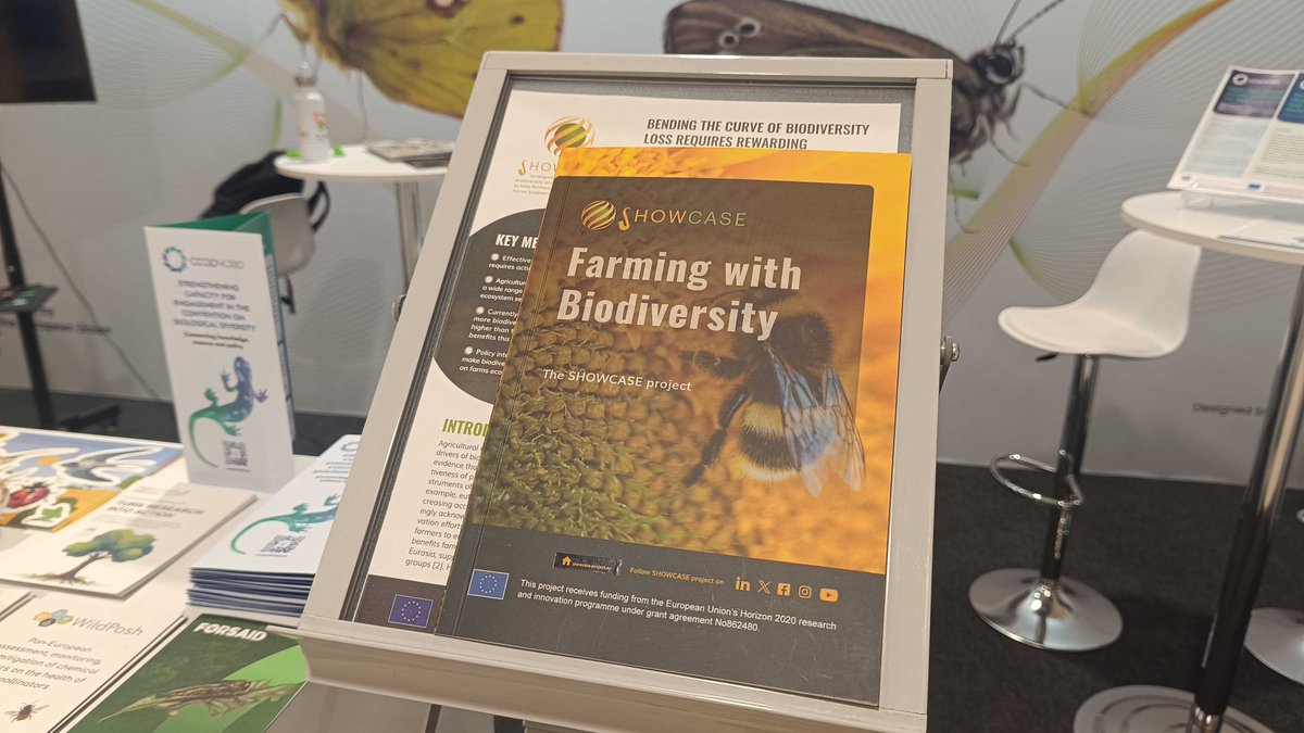 SHOWCASE_H2020's tweet photo. ๐ข Spotted at the UN Biodiversity Conference: SHOWCASE's materials have travelled all the way to Yerevan for #COP17 Armenia ๐ฆ๐ฒ!
Youโll find them in the Blue Zone at the EU #Science4Biodiversity Booth, where you can learn more about SHOWCASE's legacy and results. https://t.co/64VlUsvgAz
