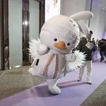 Photo by ‧˚꒰ อพ 🦮♡꒱ (@importnickel)