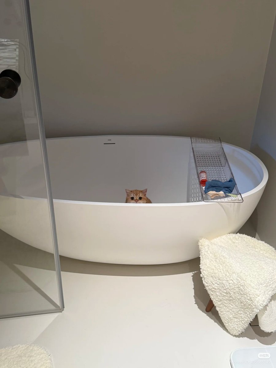 nocontextscats's tweet photo. It's spa day! https://t.co/5lL1ybwu6x