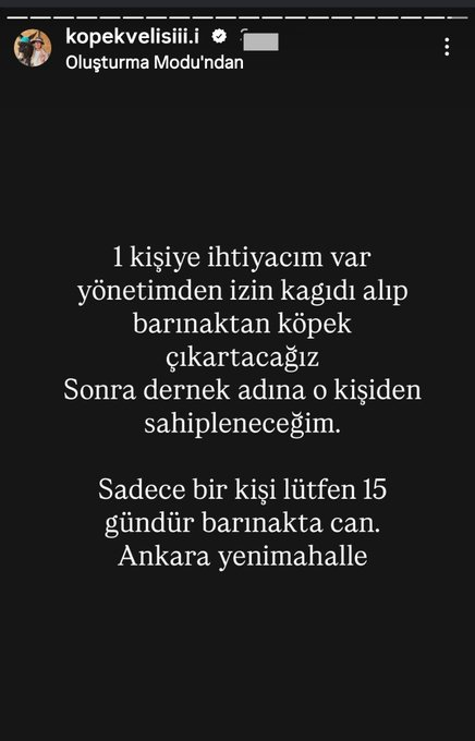MudahilX's tweet photo. BARINAKLARDAN KAÇIRMA OYUNU DEŞİFRE OLDU!

Başıboş köpekleri barınaktan çıkarmak isteyenlerin sosyal medyadaki "formalite sahiplenici" arayışları gündeme düştü.

Sokakların güvenliğini ve insan hayatını hiçe sayan bu sorumsuz tezgâha acilen müdahale edilmeli! https://t.co/nOFA2PMvdG