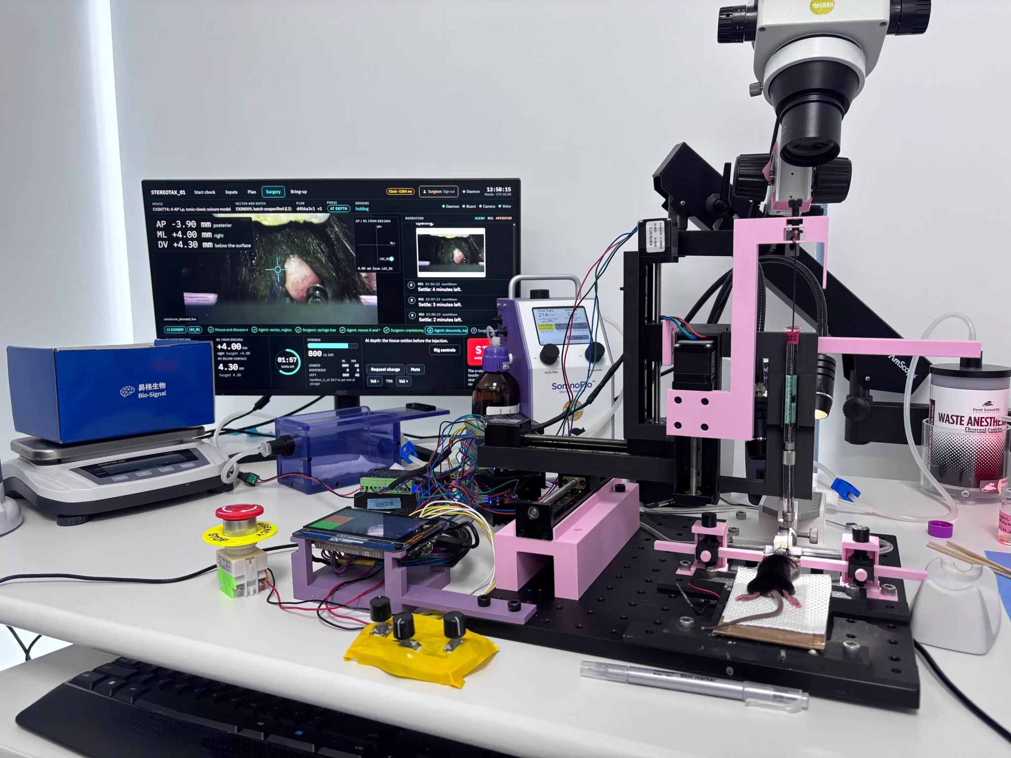 An AI agent performed brain surgery on a mouse