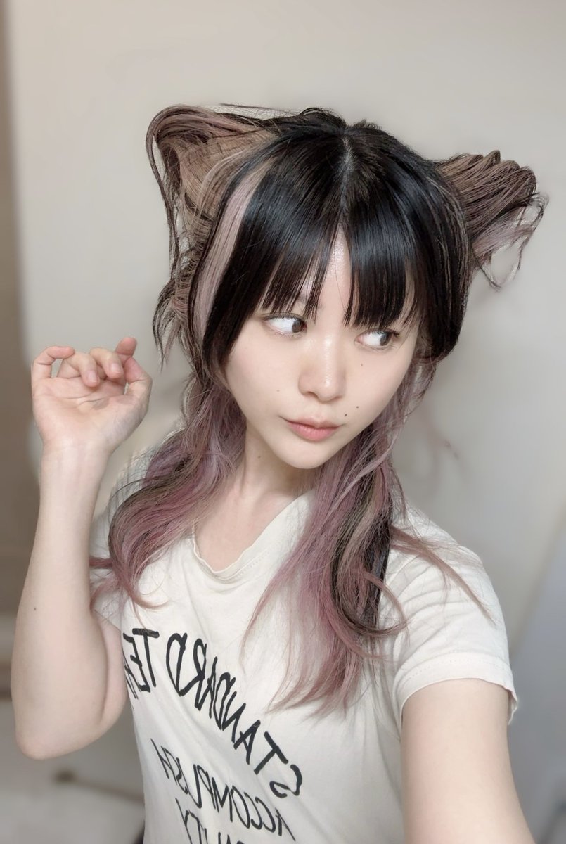JeMhRsw's tweet photo. 美容ずっとサボってるのでそろそろ行かなきゃーーー✂︎

前回切りたてのとき、ライブでツノにしたら、ほどく時ねこになった🐈‍⬛笑 https://t.co/ajijSV6xwl