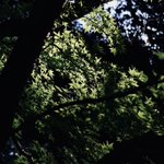 Photo by むじぴー （mujip） (@mujip)