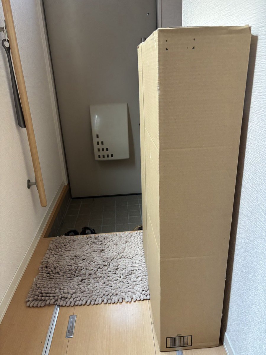 zyerudo's tweet photo. 先日、マヅメのライフジャケットをAmazonで買ったんだけど、嫁からこのサイズの段ボールが来たってLINEが、、、 https://t.co/LsDgzDeegj