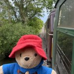Photo by daily paddington (@paddingtondaily)