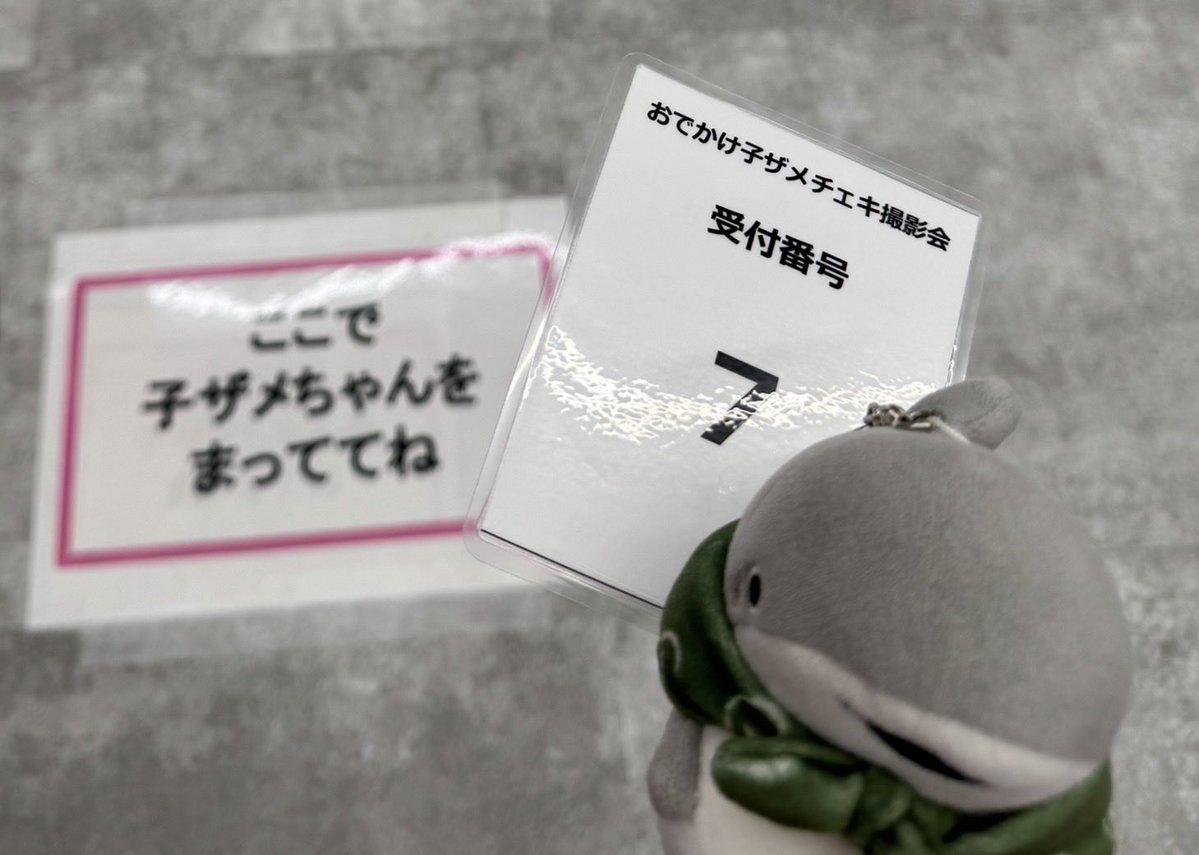pinopi1124's tweet photo. 大人の私でもテンション上がる⤴︎🤭
なんとか上手く撮ろうとしてたところを……

子ザメちゃんから見られてた🤣
 #おでかけ子ザメ 🦈
 #ところざわサクラタウン 🌸 https://t.co/8NyWgbujli
