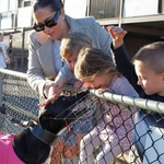 Photo by SA Greyhound Tips (@TheDogsSA)