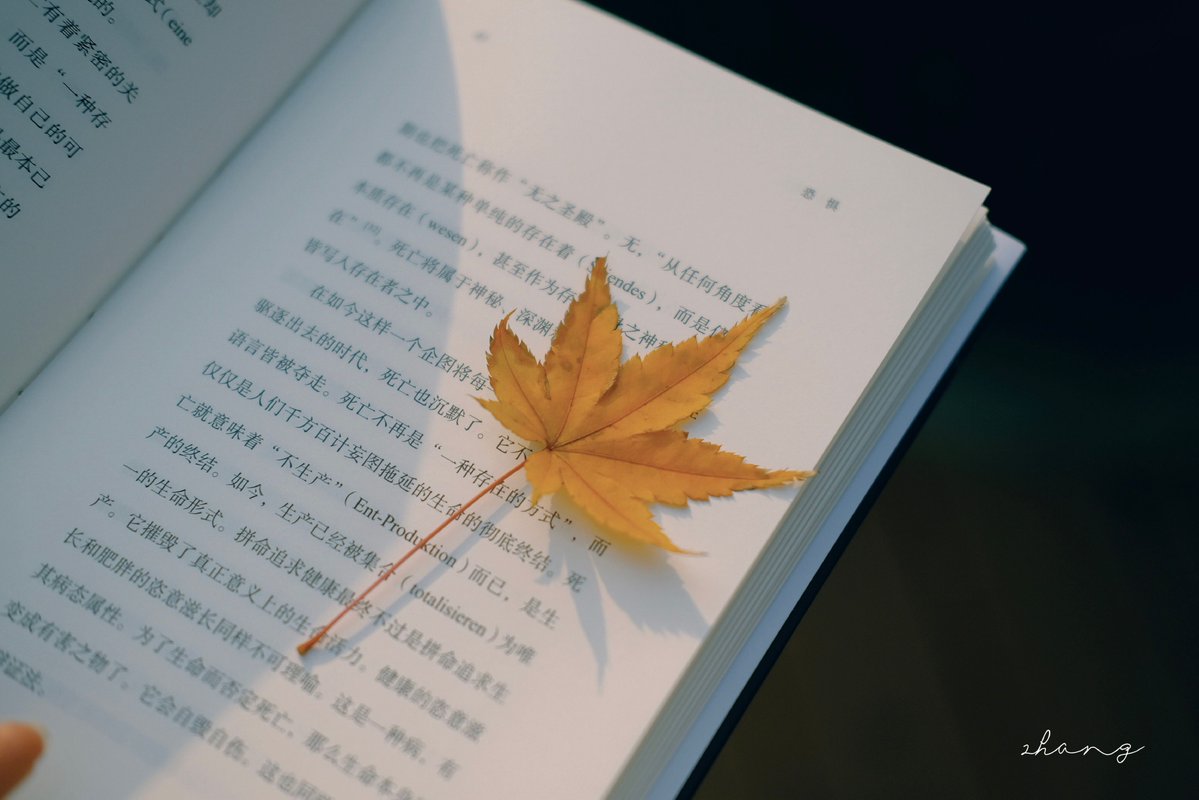 Ayav8k's tweet photo. 「某上嗣」にまつわる物語が、今、心に響く 未知の未来へ向かう一歩が、こんなにも熱いとは…！ https://t.co/30LGrXgSRu