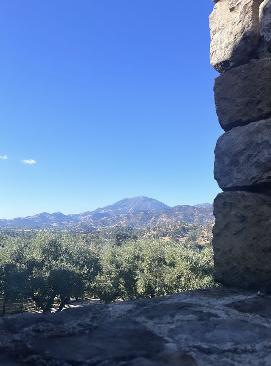 ohheyitstmas's tweet photo. Rate this view https://t.co/7C1ilrp6XD