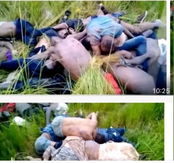 wollega1's tweet photo. More than 80 children and women, who were fleeing the ongoing massacre of ethnic Amharas in Wollega, were forced to disembark from a vehicle and were subsequently massacred by the region's security forces in this manner. https://t.co/RtOlfi0fe7