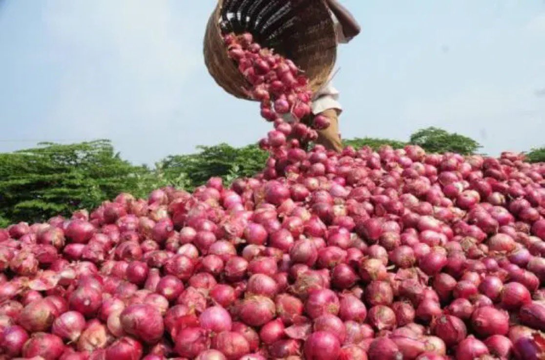 instablog9ja's tweet photo. Price of a 120kg bag of onions surges from ₦30,000 in April to ₦300,000 in October 2026, marking a 900% increase in six months. https://t.co/XJHpHbFFA2