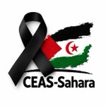 Photo by CEAS SAHARA (@CEASsahara)