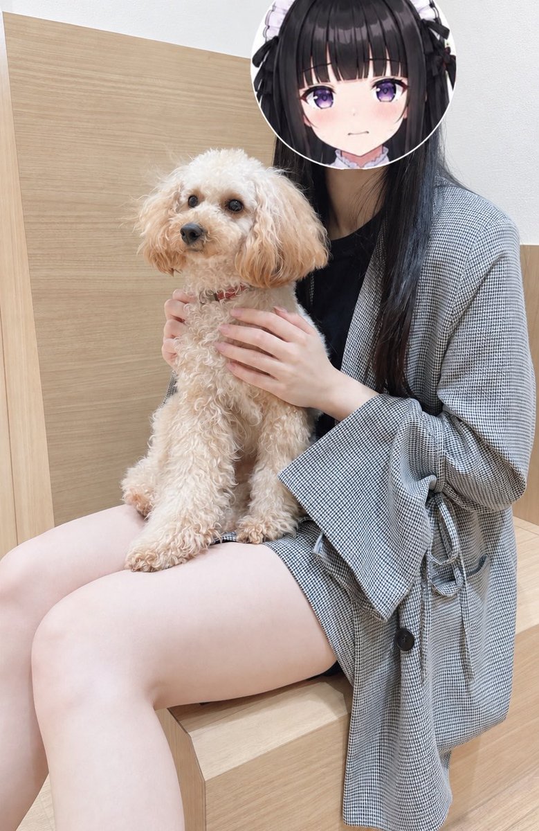 chulo_kagu's tweet photo. 犬カフェ行ってきた🐕ིྀ

癒しをお裾分けだよ(ˆ꜆ .  ̫ . ) ꜆ ⌒ 🩶 https://t.co/sPQE7uZ36x