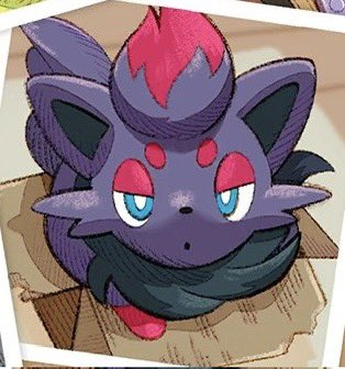 kiravera8's tweet photo. zorua getting so much cute art in the new TCG Pocket set and I could not be any happier😭😭😭 #PokemonTCGPocket https://t.co/ir1klWgC09