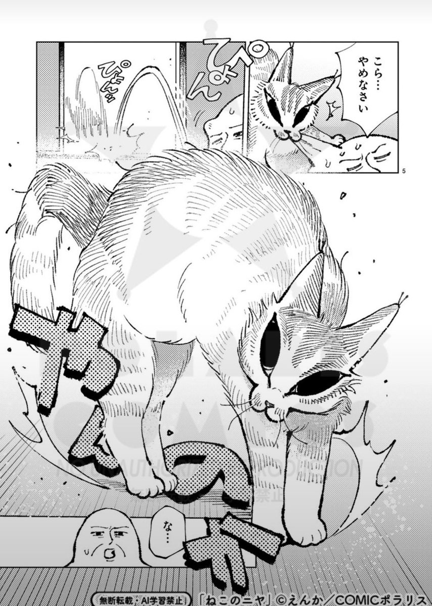 neko_no_niya's tweet photo. やんのか静画　#ねこのニヤ　#猫漫画 https://t.co/GYb2bbj7ax