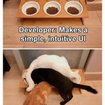 Photo by SwissDevJobs.ch (@SwissDevJobs)