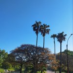 Photo by Lola (@_Prince_Sa)