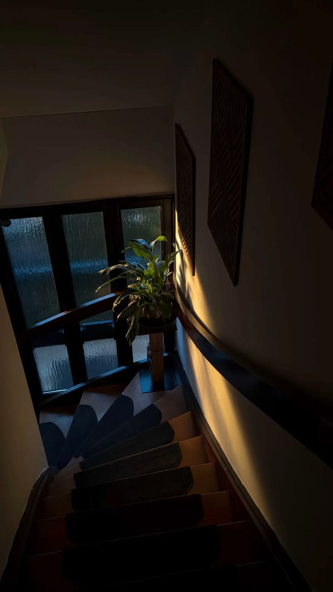 gardeniavibe's tweet photo. https://t.co/2TrwQnkepR