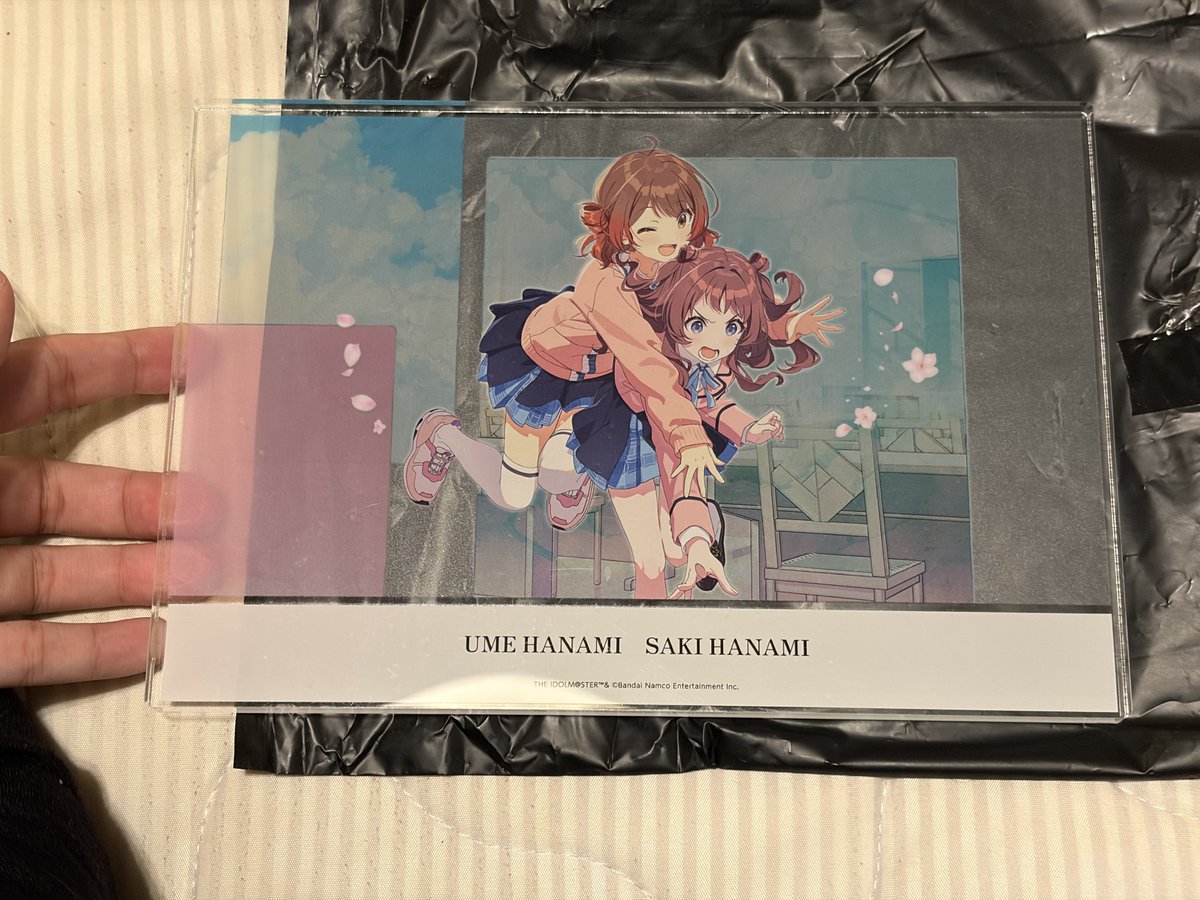 neko_hanamiume's tweet photo. アリサに会い、花海姉妹アクリルパネルに遭遇し、莉波お姉さんに出会い、ぬい服を購入した https://t.co/yqaWPRjjG6