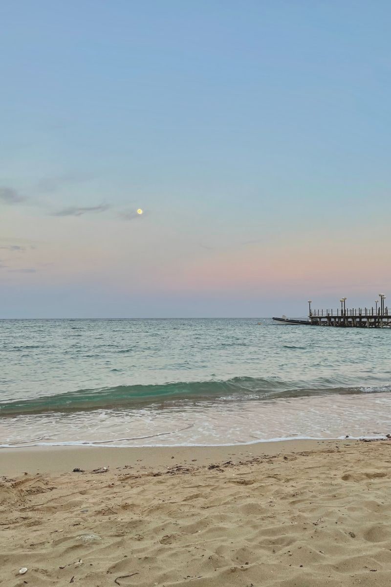 aaron_gladden4's tweet photo. Serenity on the shore, can't get enough of this view

#beach #twilight https://t.co/AtTKZbqGy0