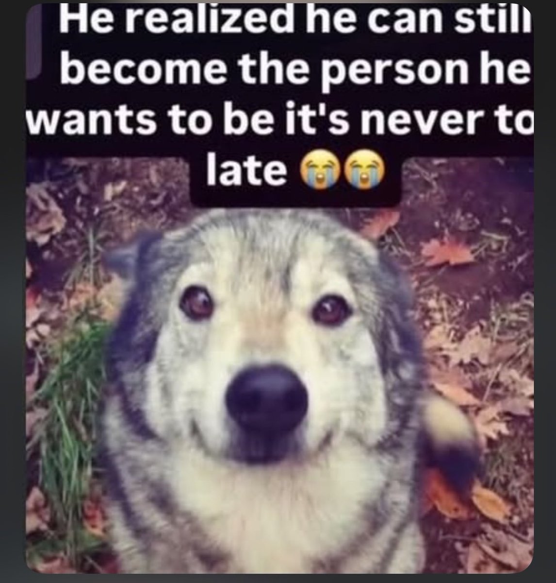 Gloomurai_x's tweet photo. Idia when he realized that it was never too late to become a hero, he just needed to forgive himself first https://t.co/NuGv1GzRMo